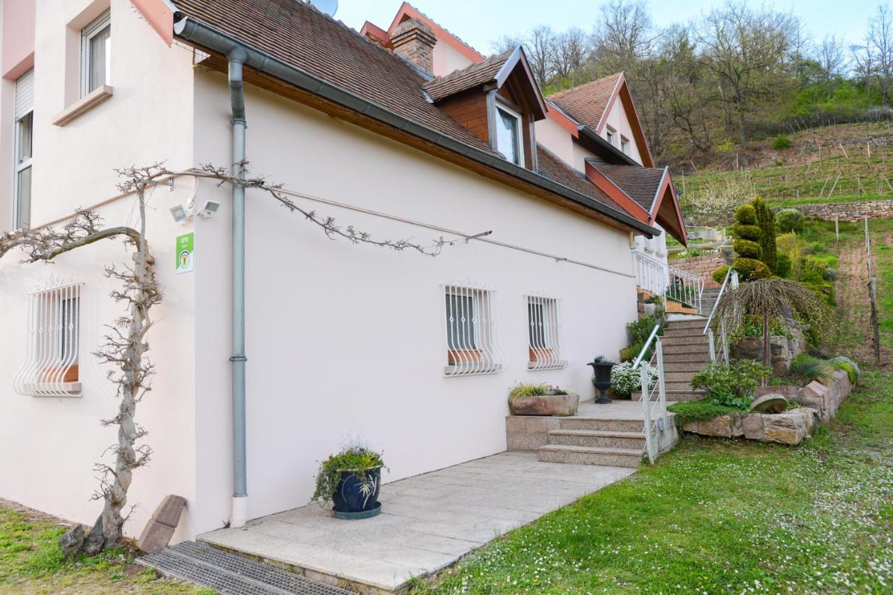Les Glycines Du Sommerberg Niedermorschwihr Exterior photo